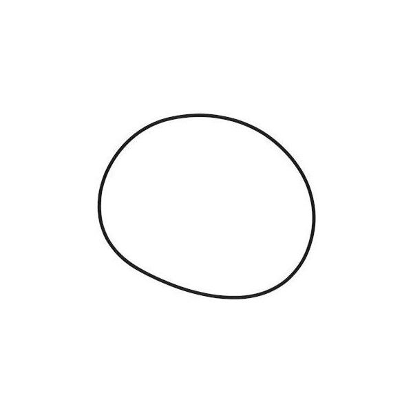 Pump Repair Parts- O-ring EPDM 171.04x3.53/spare.